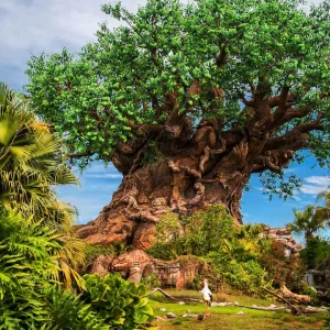 Entrada 1 día Parque Disney Animal Kingdom